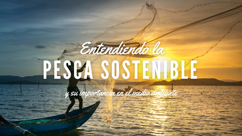 La pesca sostenible y su importancia para el medio ambiente